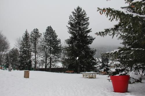 a snow covered park with trees and a picnic table at Au pied des pistes Côte 2000 - Le Balcon de Villard de Lans in Villard-de-Lans