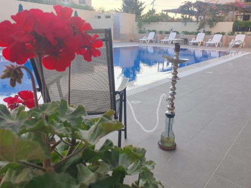 Bazén v ubytování Salome Hotel nebo v jeho okolí