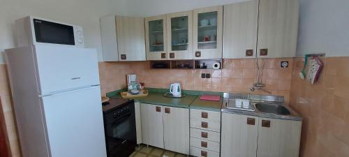 a kitchen with a white refrigerator and a sink at Apartman Franelić Banjol in Banjol