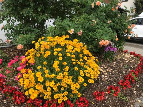 a bunch of colorful flowers in a garden at Abendruhe Hotel - kontaktloser Check In in Oberhaching