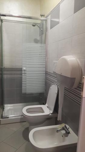 ein Bad mit einem WC, einem Waschbecken und einer Dusche in der Unterkunft La Massaria in Avellino