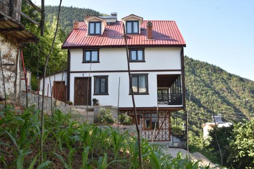 ÇAYKARA-NANAGA1883-Entire 1 Bedroom Flat with Balcony-Lake-Mountain View