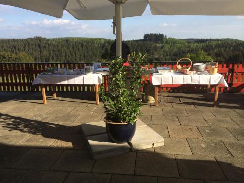 Harmonie Hotel Rustにあるバルコニーまたはテラス