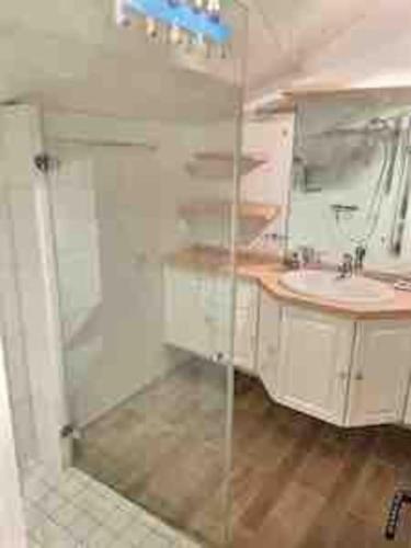 une salle de bain avec douche et lavabo dans l'établissement superbe appartement avec vue sur montagnes, calme, à Megève