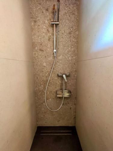 La salle de bains est pourvue d'une douche avec un tuyau sur le mur. dans l'établissement Charmant Appartement Bozel Centre, à Bozel