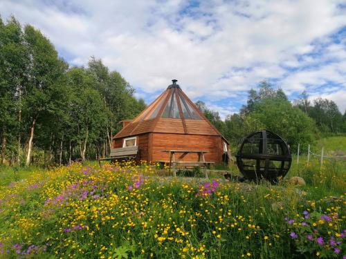 a wooden cabin with a thatched roof in a field of flowers at Hessdalen Ufocamp in Vårhus