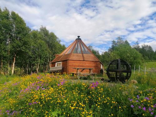 Zahrada ubytování Hessdalen Ufocamp