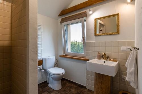 ein Bad mit einem WC, einem Waschbecken und einem Fenster in der Unterkunft Siedlisko Wiłkupie, Dom nad stawem in Wiżajny