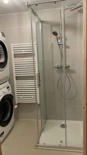 une douche dans une salle de bain avec machine à laver dans l'établissement Chalet La Mahure, à La Toussuire