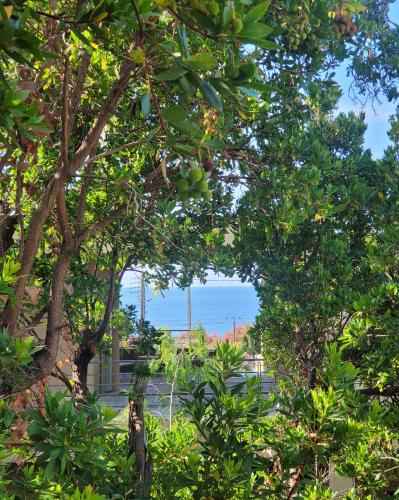 Photo de la galerie de l'établissement Villa piscine,jacuzzi,rooftop,plage village à pied, aux Issambres