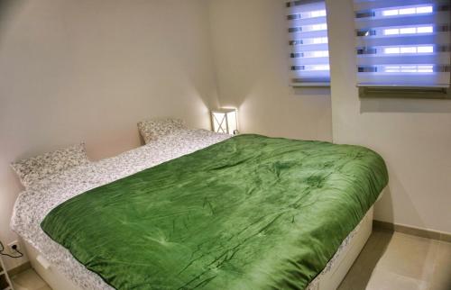 um quarto com uma cama com um cobertor verde em Ref MIDI - Palmes d'Or Properties em Cannes
