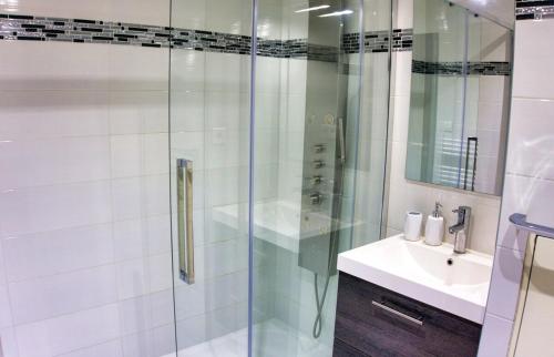 La salle de bains est pourvue d'une douche en verre et d'un lavabo. dans l'établissement Ref MIDI - Palmes d'Or Properties, à Cannes