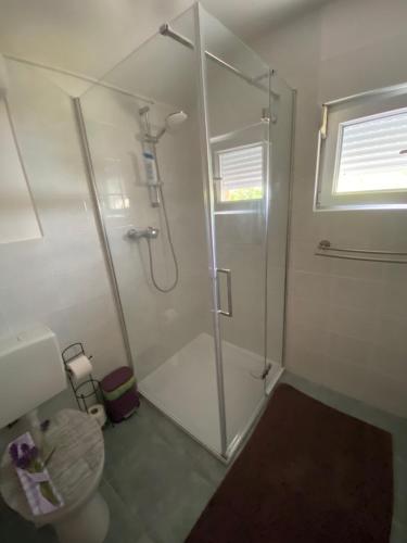 biała łazienka z prysznicem i toaletą w obiekcie Bokun Dunava w mieście Erdut