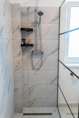 a shower with a glass door in a bathroom at TEILOR Apartments 1 in Floreşti