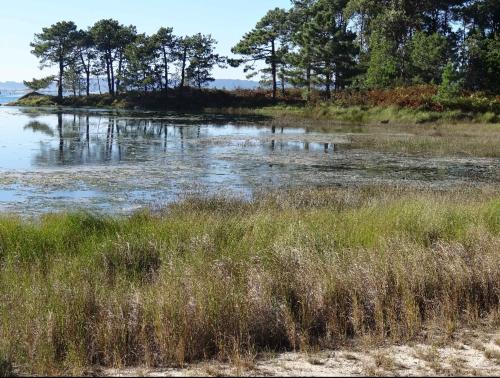 Fotografie z fotogalerie ubytování Capricho de Fontabrón v destinaci Vilagarcia de Arousa