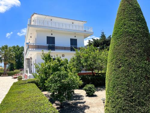 a white building with a large bush in front of it at Pettas Apartments in Zakynthos Town
