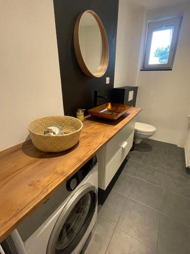 a bathroom with a washing machine and a mirror at Pokoje na Hlavní Vřesina in Vřesina