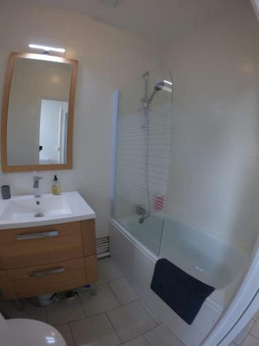 uma casa de banho com um chuveiro, um lavatório e um espelho. em Rochereau de la Clautre em Périgueux
