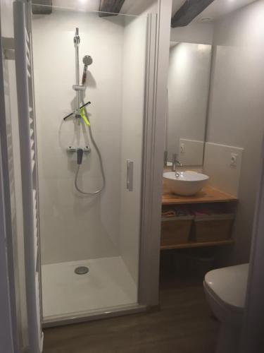 ein Bad mit einer Dusche und einem Waschbecken in der Unterkunft LES GABARES in Gohier