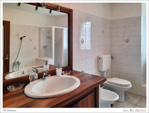 uma casa de banho com um lavatório, um WC e um espelho. em Azalea di Gigliola Ziello - "Casa Alice" em Cremia