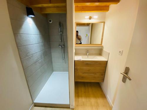 uma casa de banho com um chuveiro, um lavatório e um espelho. em Sun Mezzanine em Sainte-Foy-lès-Lyon