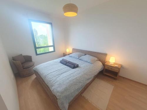 1 dormitorio con 1 cama con 2 almohadas y ventana en Superbe appartement Evian, en Évian-les-Bains