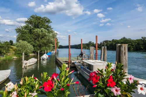 a group of boats docked on a river with flowers at Luxury Apartment on the Rhein in Busingen am Hochrhein