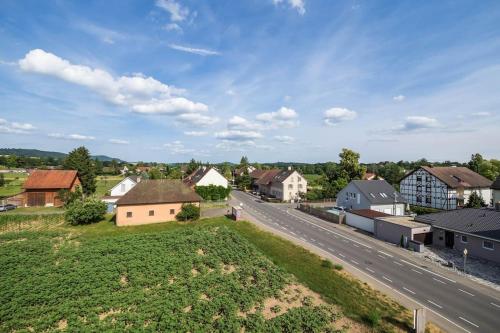 an aerial view of a small village with a road at Luxury Apartment on the Rhein in Busingen am Hochrhein