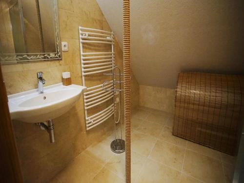 a bathroom with a sink and a shower stall at U Fousáče in Hrabětice