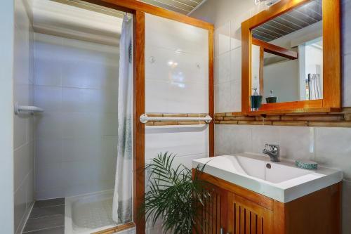 La salle de bains est pourvue d'un lavabo, d'une douche et d'un miroir. dans l'établissement Les nids d'Elo, à Saint-Leu