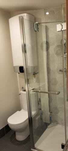 une salle de bain avec toilettes et douche en verre dans l'établissement Studio pour location vacances a la semaine AVIGNON, à Avignon