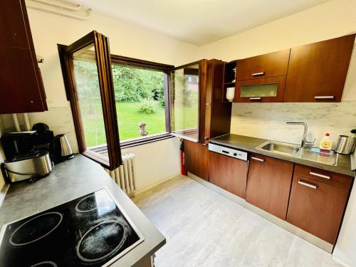eine Küche mit Holzschränken, einem Waschbecken und einem Fenster in der Unterkunft Horská chata NATURA Nové Město in Nové Město