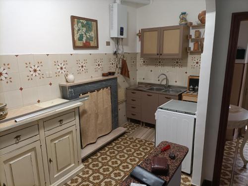 una piccola cucina con lavandino e piano cottura di La casina delle coste a Montenero di Bisaccia