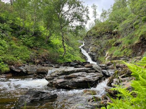 a river with a waterfall in the middle of a forest at Voss Waterfalls - Private mountain cabin & Traveller Award Winner! in Vossevangen