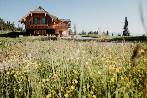 dom na wzgórzu z polem kwiatów w obiekcie Chalet Knappenhütte w Villach