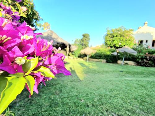 AA Guest - Piscis Mountain View Eco Apartment photo 38