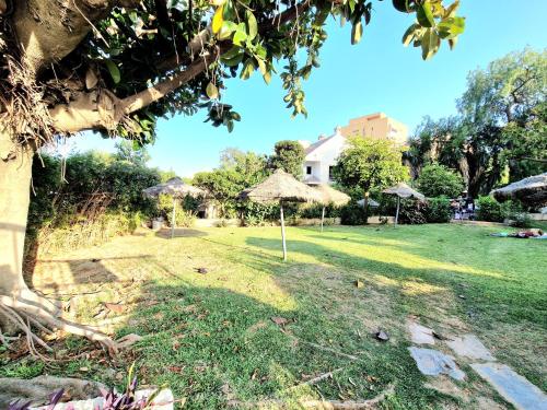 AA Guest - Piscis Mountain View Eco Apartment photo 37