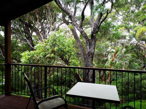 une table et des chaises blanches sur une terrasse avec un arbre dans l'établissement Karriview, à Gracetown