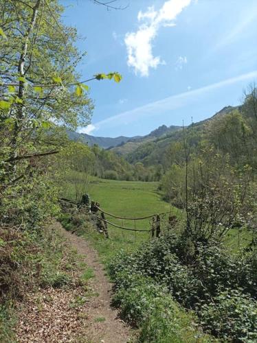 a dirt road in a field with a fence at Casa Fidel in Fontanina