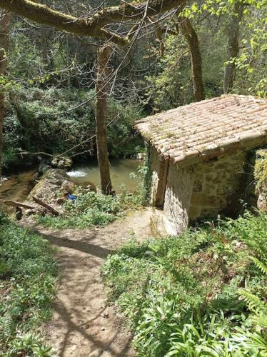 a small stone building next to a river in a forest at Casa Fidel in Fontanina