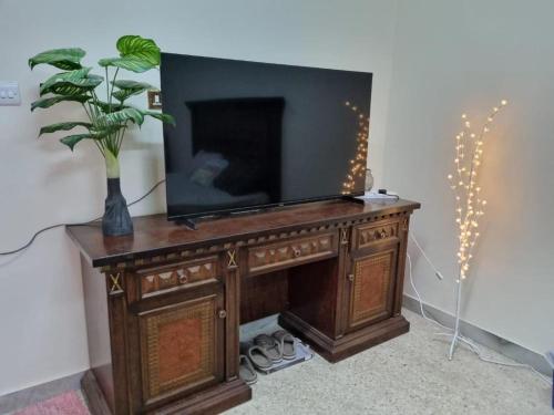 un televisor en una mesa de madera con una planta en VictoriaS en Al Ain