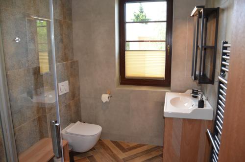 a bathroom with a shower and a toilet and a sink at FloraVilla in Rajecké Teplice