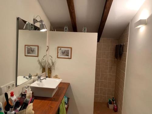 uma casa de banho com um lavatório, um espelho e um chuveiro em Chalet con piscina privada em Blanca