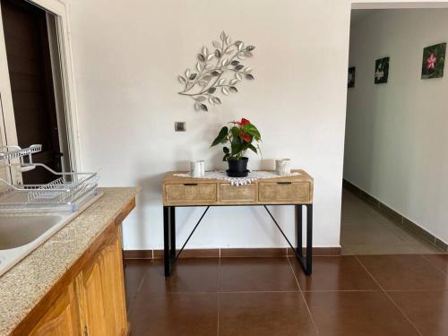 una mesa con una planta en ella en una cocina en Le refuge d'Aiden, en La Plaine-des-Palmistes