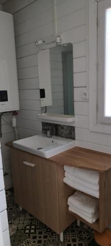 une salle de bain avec un lavabo et un miroir dans l'établissement L escale jardin, à Boussay