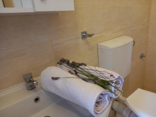Apartments Verona tesisinde bir banyo