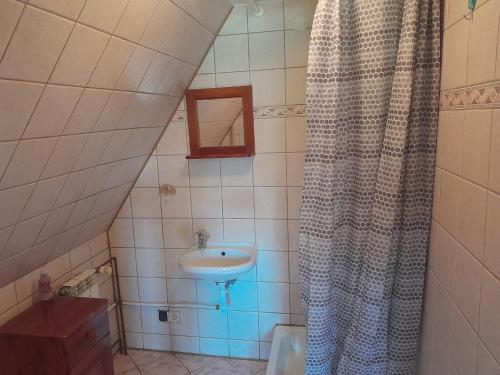 a bathroom with a sink and a shower curtain at Zakątek pod Giewontem in Kościelisko