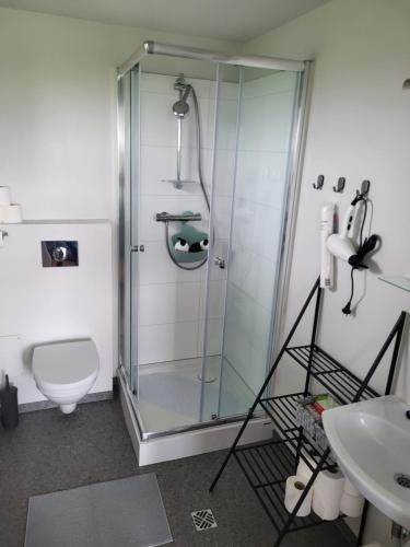 uma casa de banho com um chuveiro, um WC e um lavatório. em Hólar countryside cabin 1 em Selfoss