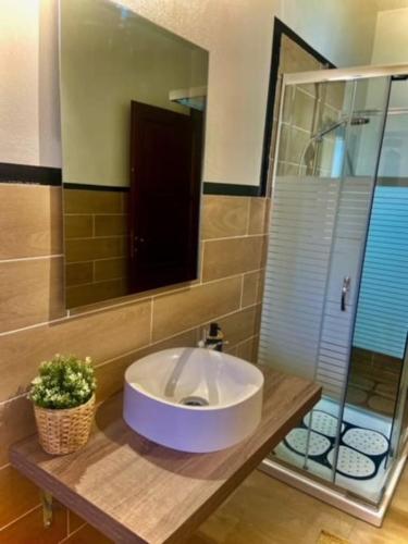 a bathroom with a sink and a mirror at Appartamento Villa Sarda Jamelia in Elmas