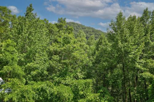 a forest of green trees with a mountain in the background at Blue Ridge Delight in Clayton
